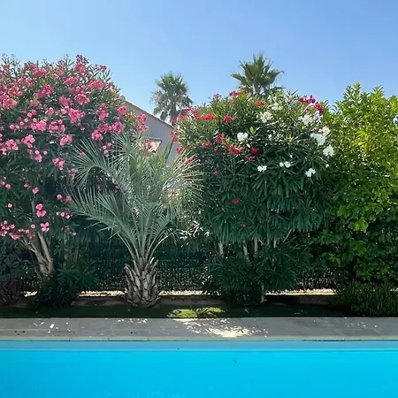 La Maison De Virginie فيلة