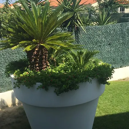 La Maison De Virginie 6 A 12 Personnes -300 M De La Plage- Velos A Disposition *